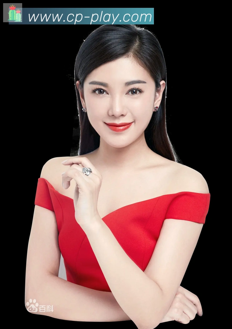 DB彩票发展历程